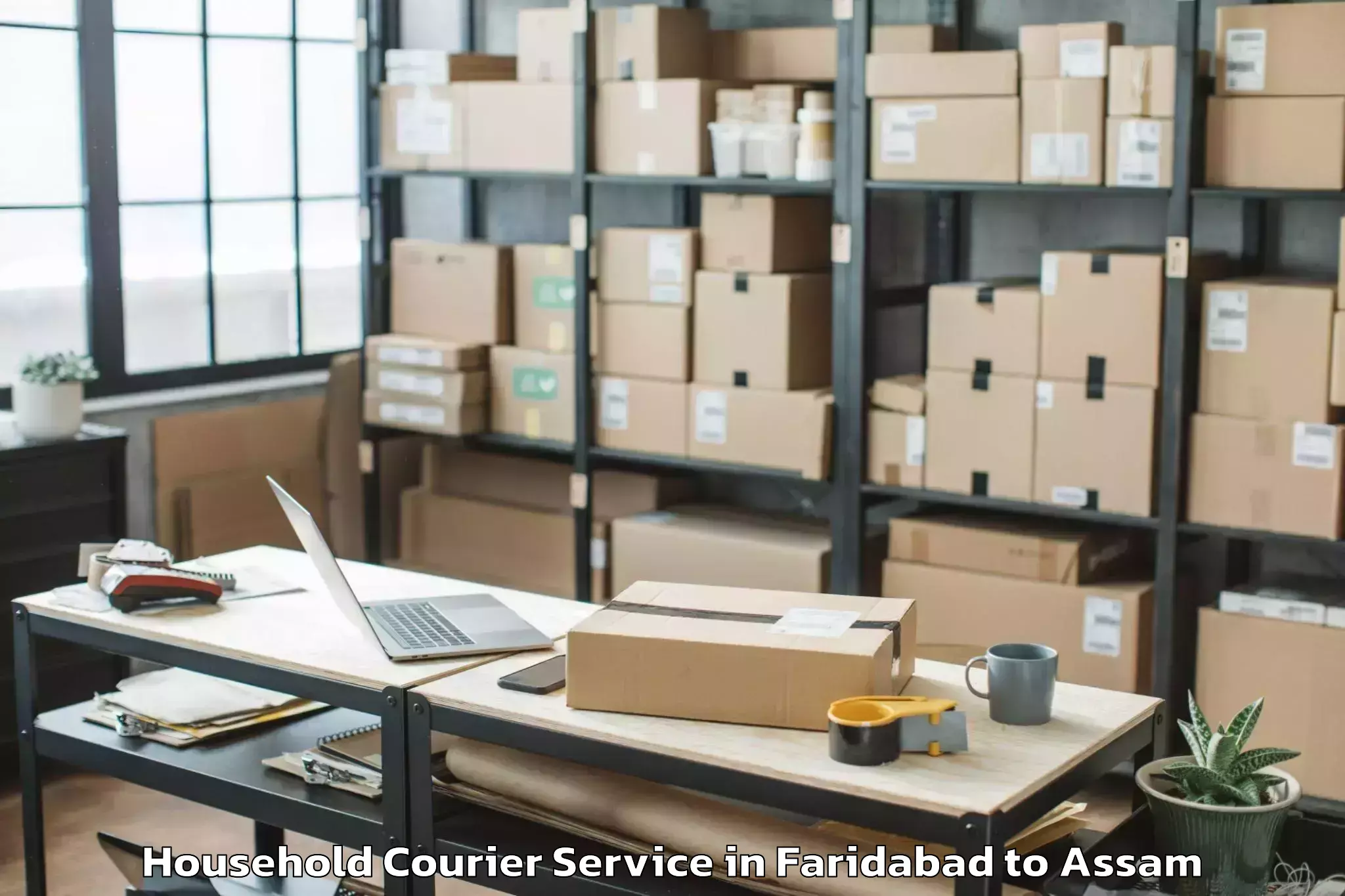 Trusted Faridabad to Kharupetia Household Courier